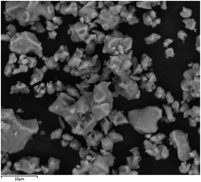 Microgravity Effect on Microstructural Development of Tri-calcium Silicate (C3S) Paste